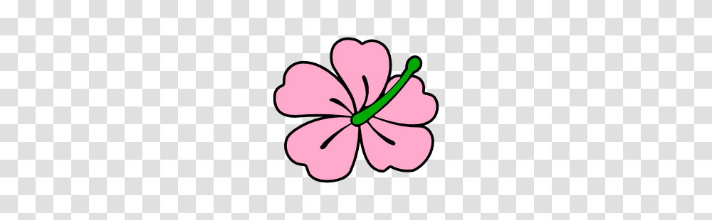 Pink Hibiscus Flower Clip Art Free Borders And Clip Art, Plant, Blossom, Petal, Geranium Transparent Png