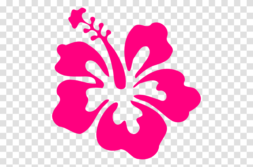 Pink Hibiscus Flower Clip Art, Plant, Blossom Transparent Png