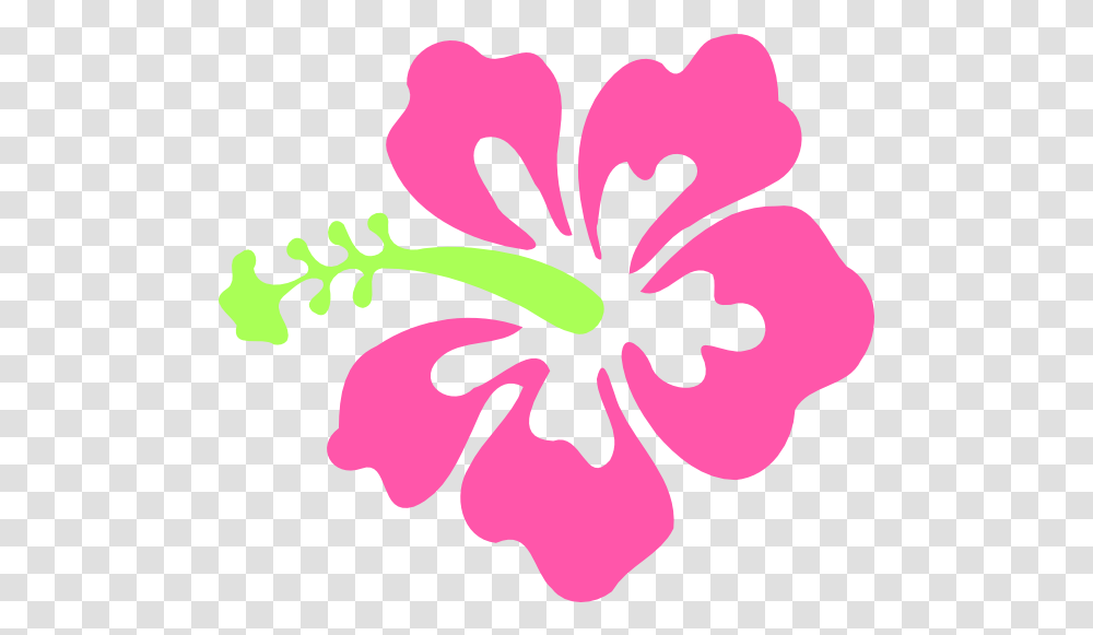 Pink Hibiscus Flower Clipart Freeuse Hibiscus Flower Background Clipart, Plant, Blossom,  Transparent Png