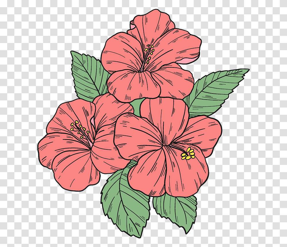 Pink Hibiscus Flowers Clipart Hibiscus Flower Clipart, Plant, Blossom Transparent Png