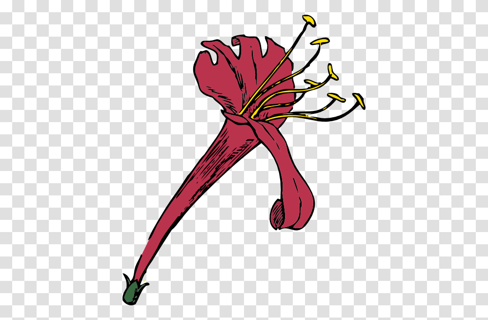 Pink Honeysuckle Clip Art, Plant, Flower, Hammer, Produce Transparent Png