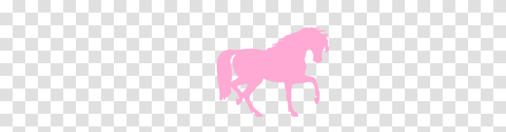 Pink Horse Silhouette Clipart, Mammal, Animal, Cow, Cattle Transparent Png