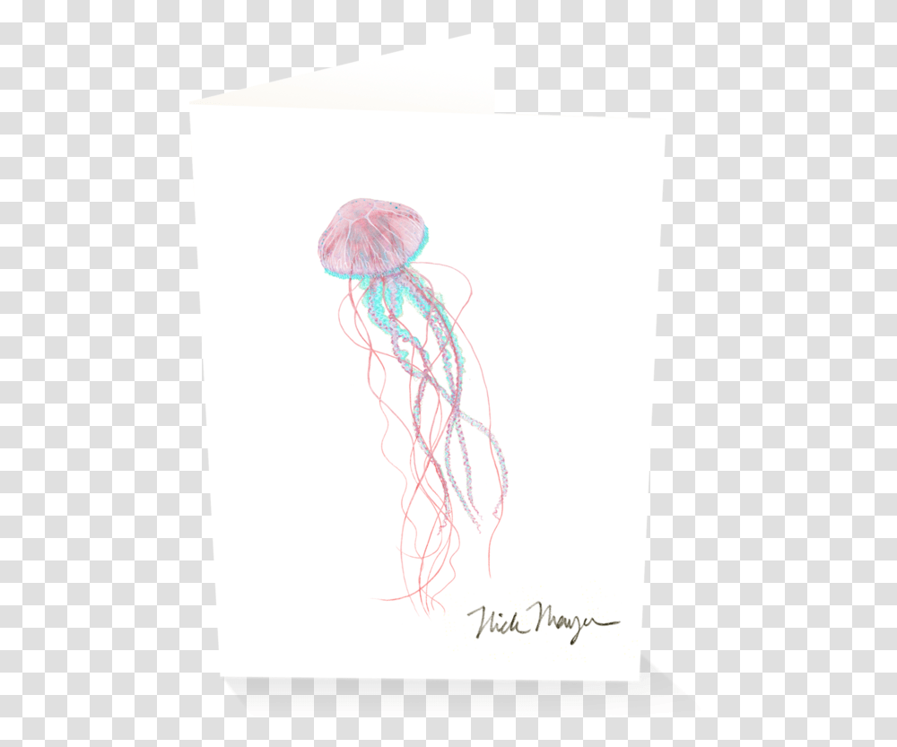 Pink Jellyfish Sketch, Invertebrate, Sea Life, Animal, Painting Transparent Png