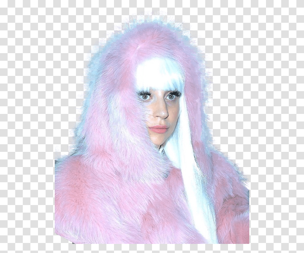 Pink Lady Gaga Aesthetic, Apparel, Costume, Fur Transparent Png
