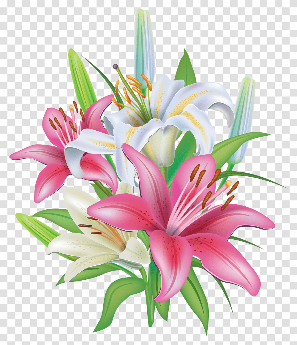 Pink Lilies Flores Lilies Clipart Transparent Png