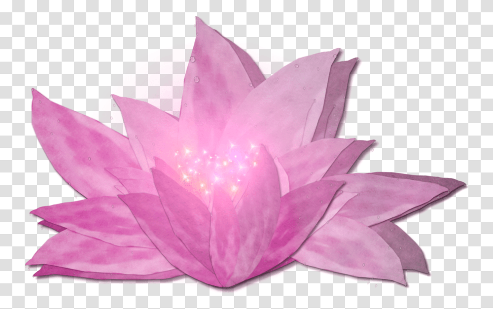 Pink Lilly Portable Network Graphics, Crystal, Plant, Flower, Blossom Transparent Png