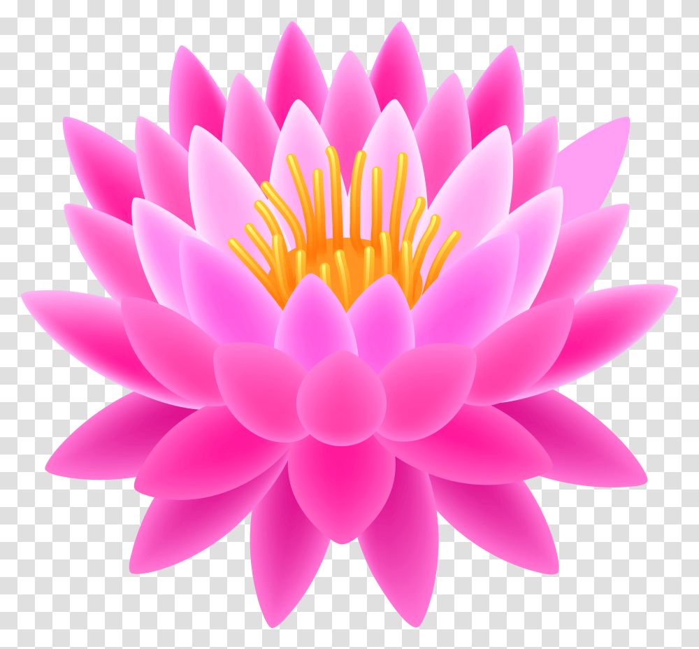 Pink Lotus Clip Art Image Background Lotus Transparent Png