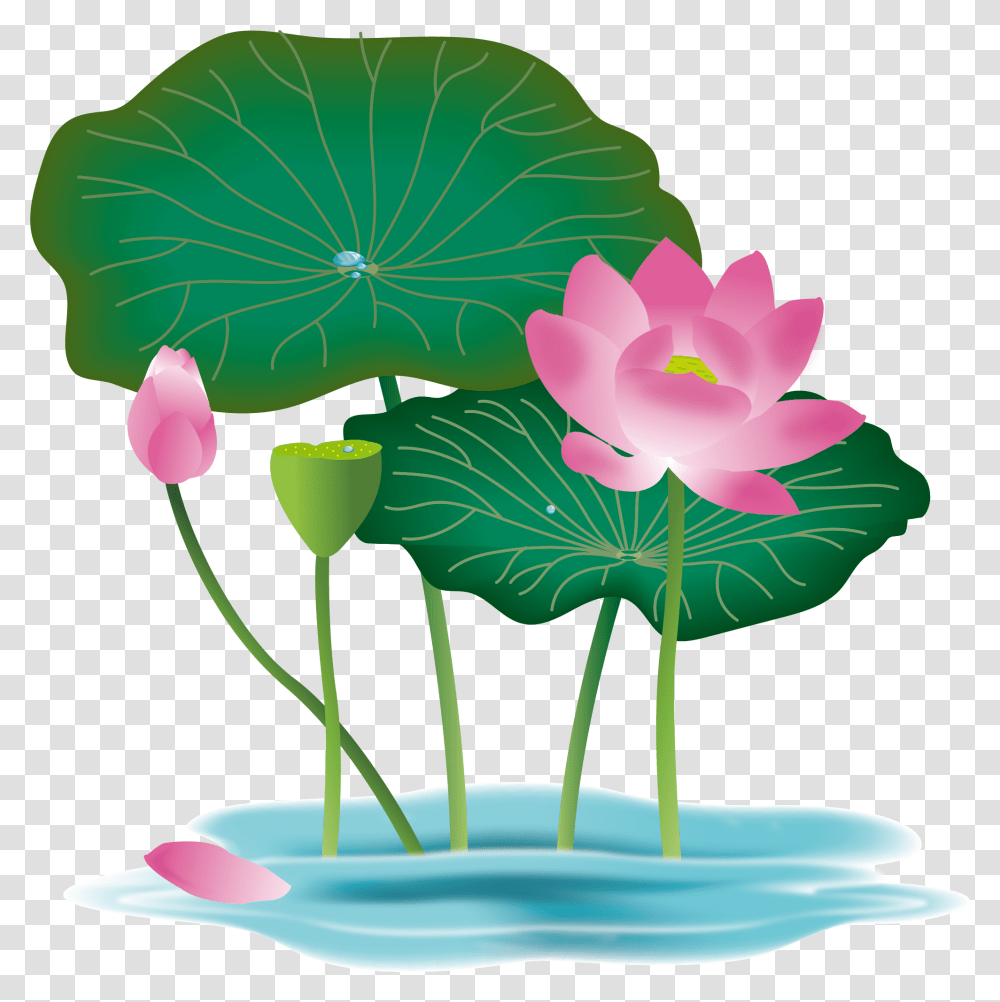 Pink Lotus Flower Clipart Lotus Flower Vector, Plant, Leaf, Lily, Blossom Transparent Png