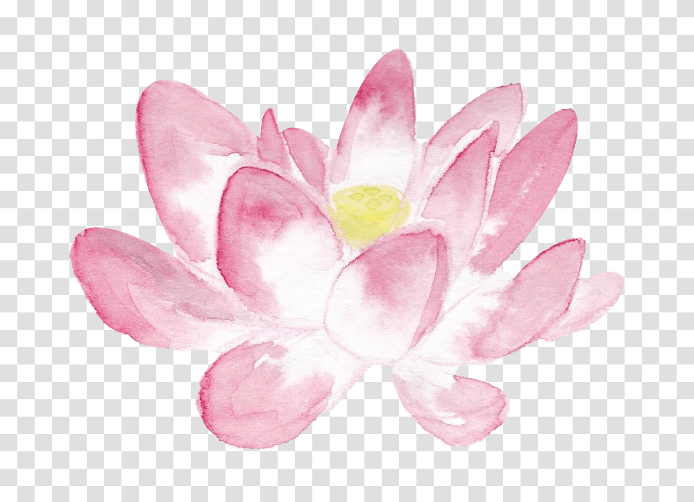 Pink Lotus In Watercolor Sacred Lotus, Plant, Lily, Flower, Blossom Transparent Png