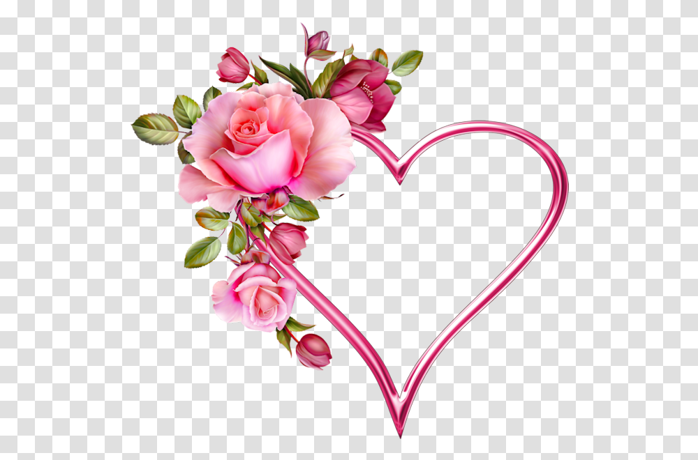 Pink Love Rose Flower, Plant, Blossom, Floral Design, Pattern Transparent Png