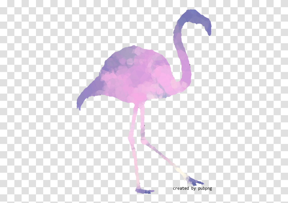 Pink M Beak Bird Low Poly Image Greater Flamingo, Animal Transparent Png