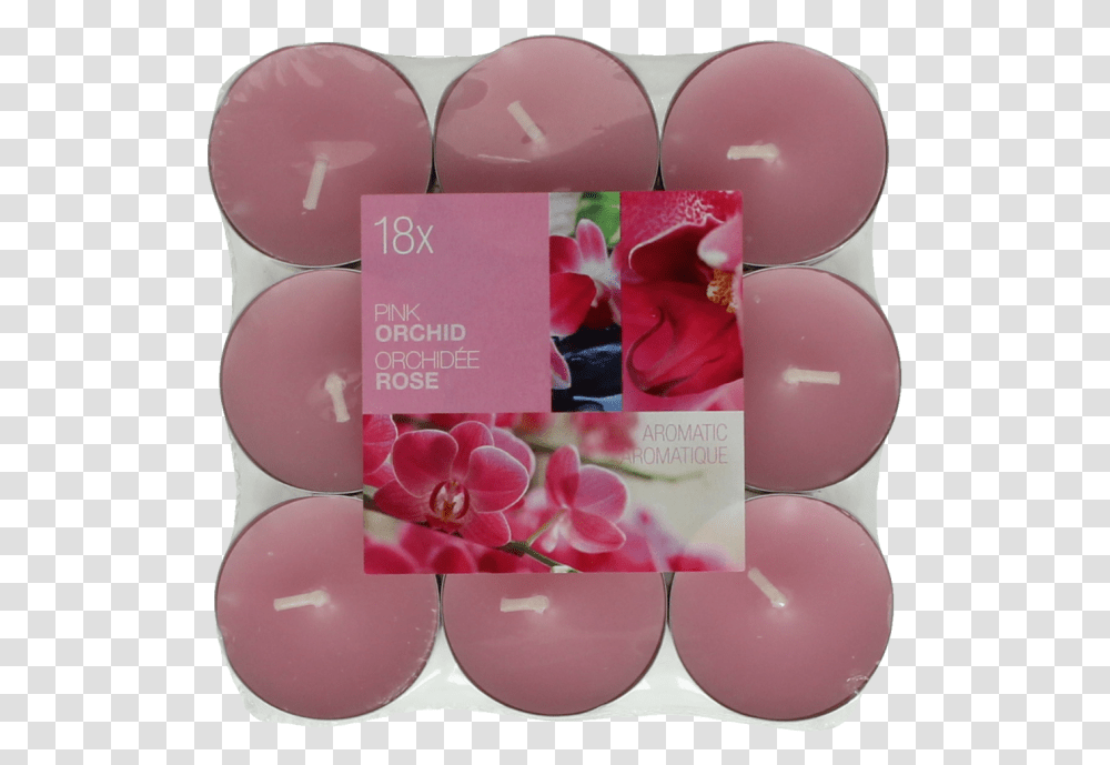 Pink Orch Rov Ajov Svky Koupit, Apparel, Rose, Flower Transparent Png