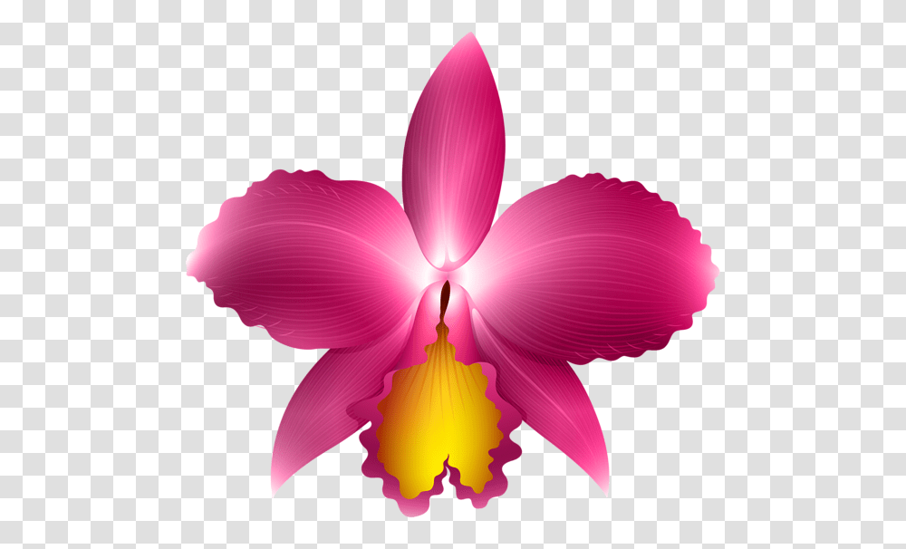 Pink Orchid Clip Art Image Aa Flores, Plant, Flower, Blossom, Petal Transparent Png