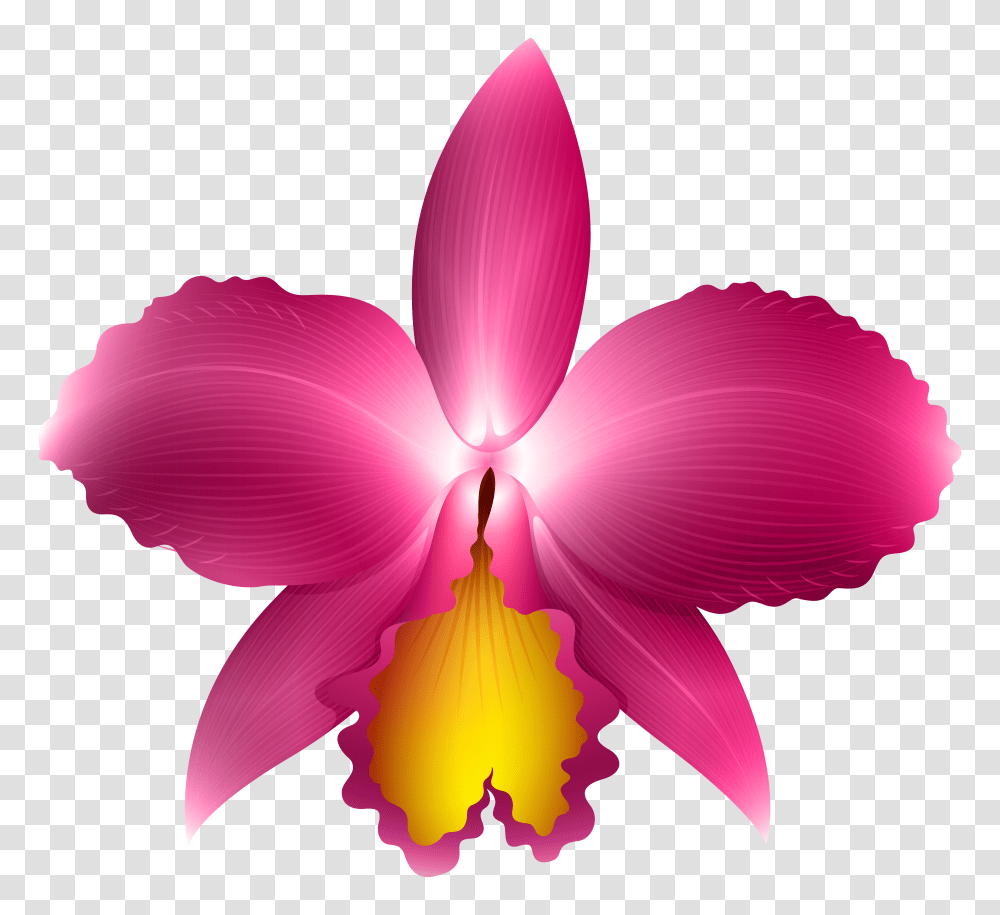 Pink Orchid Clip Art Transparent Png