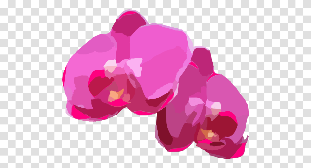 Pink Orchids Clip Art, Plant, Flower, Blossom, Petal Transparent Png