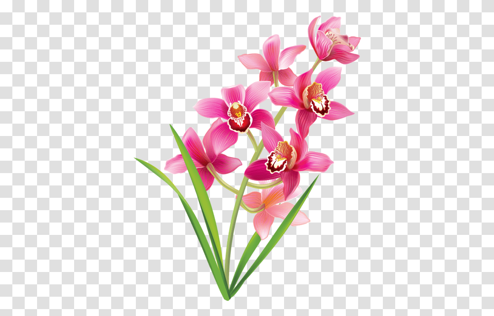 Pink Orchids Clipart Image Orchids Clipart, Plant, Flower, Blossom, Flower Arrangement Transparent Png