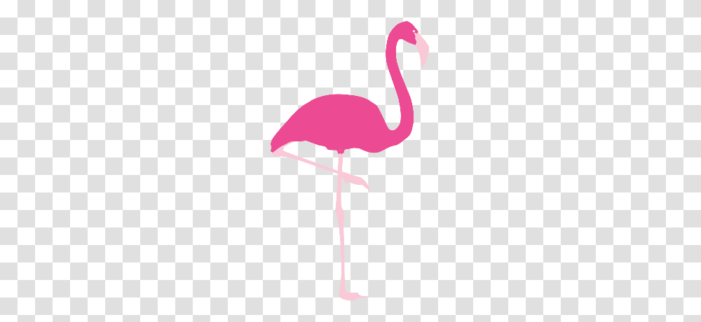 Pink Out Holler Classic Corporation Associates, Flamingo, Bird, Animal, Cross Transparent Png