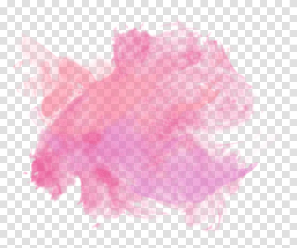 Pink Paint Splatter Download Pink Watercolor Stain, Flower, Plant, Plot Transparent Png