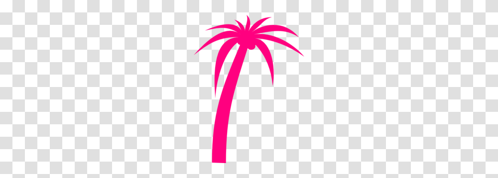 Pink Palm Clip Art, Plant, Flower, Outdoors, Anther Transparent Png