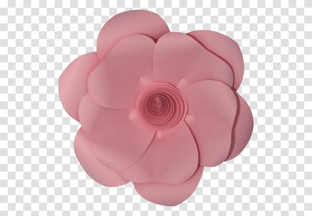 Pink Paper Flower Image With No Artificial Flower, Dahlia, Plant, Blossom, Rose Transparent Png
