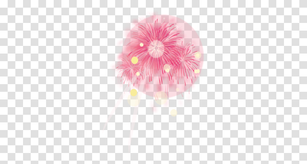 Pink Party Firework & Svg Vector File Circle, Plant, Flower, Anther, Petal Transparent Png