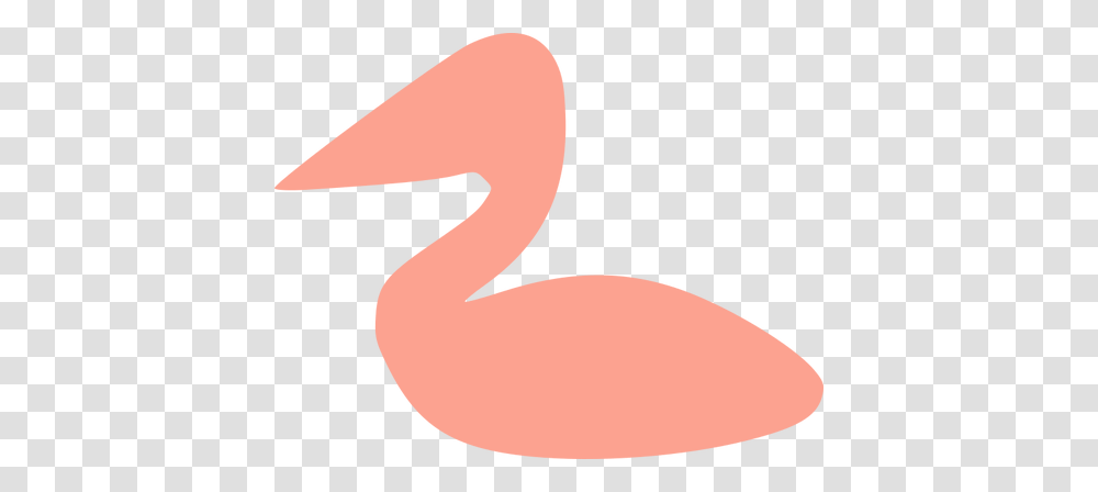 Pink Pelican, Animal, Flamingo, Bird Transparent Png