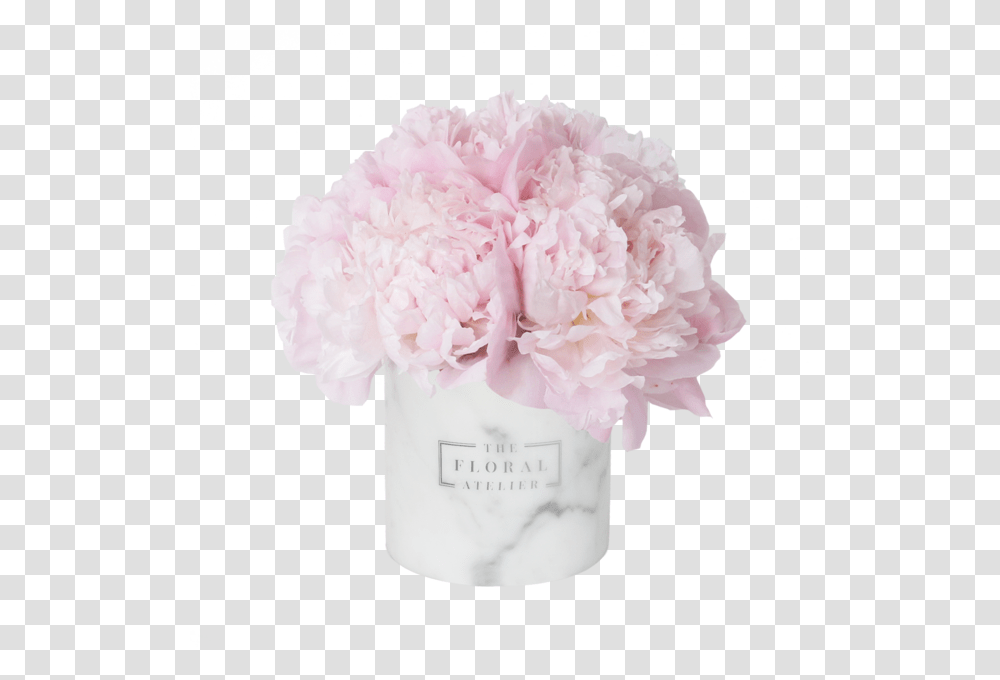 Pink Peony Luxe Marble Vase Vase Flower Pink, Plant, Blossom, Rose, Carnation Transparent Png