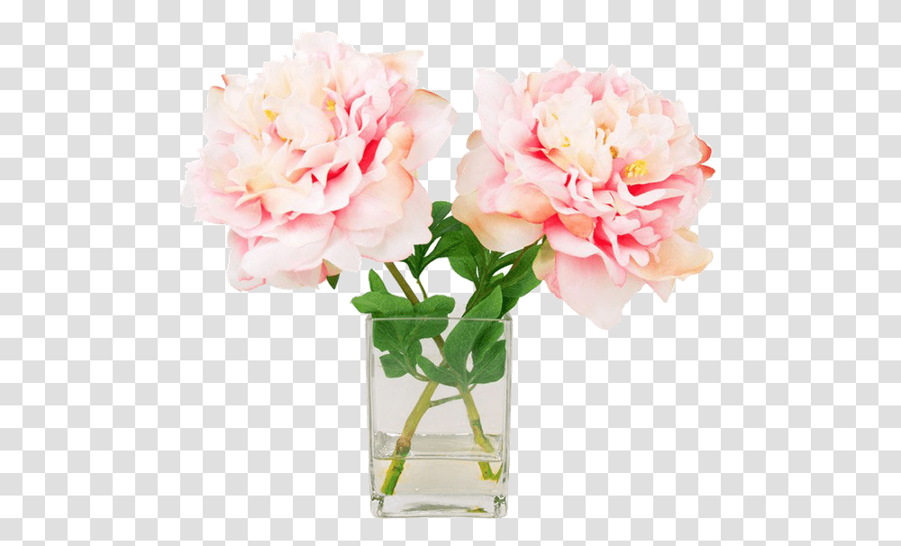 Pink Peony Peony Water Vase, Plant, Flower, Blossom, Carnation Transparent Png