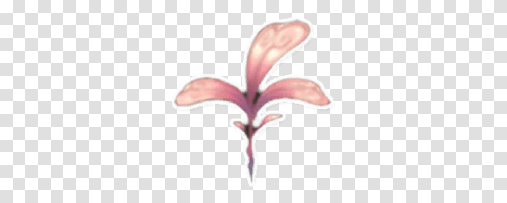 Pink Petals Lily, Plant, Flower, Blossom, Bird Transparent Png