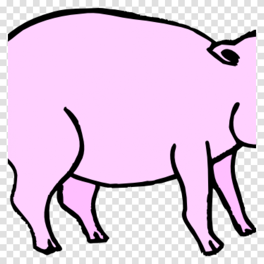 Pink Pig Clipart Free Clipart Download, Mammal, Animal, Hog, Wildlife Transparent Png