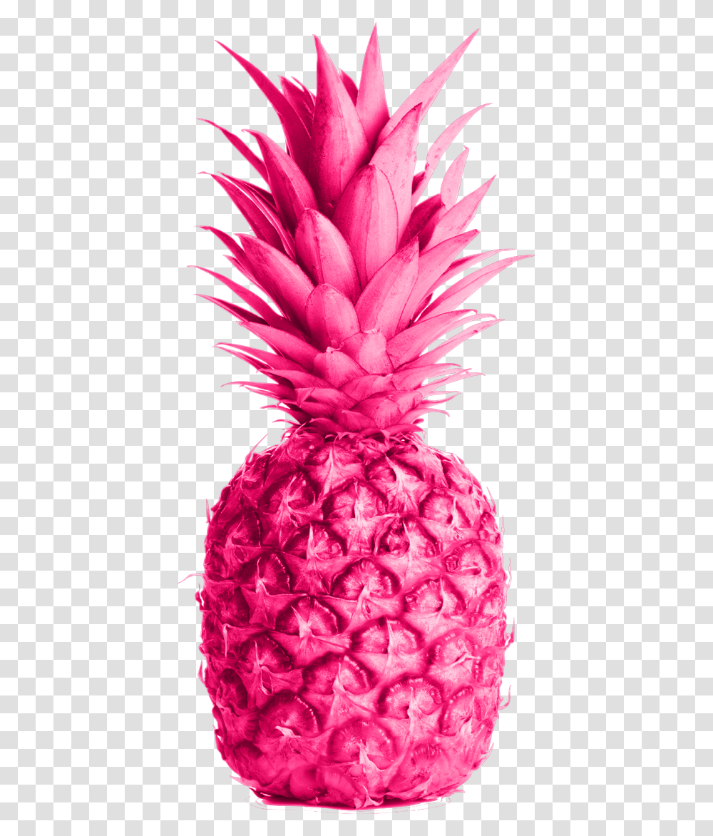 Pink Pineapple Maui Sun Salt Nic, Fruit, Plant, Food Transparent Png