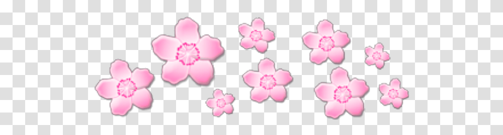Pink Pinkflowers Flowers Crown Cute Sticker Blue Aesthetic Stickers, Plant, Blossom, Petal, Cherry Blossom Transparent Png