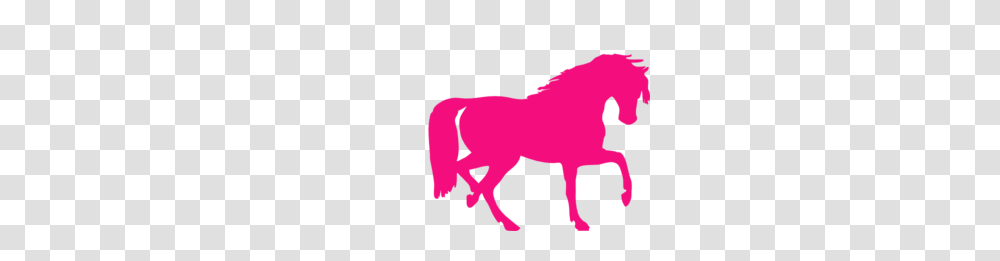 Pink Pony Clipart, Mammal, Animal, Horse, Cow Transparent Png