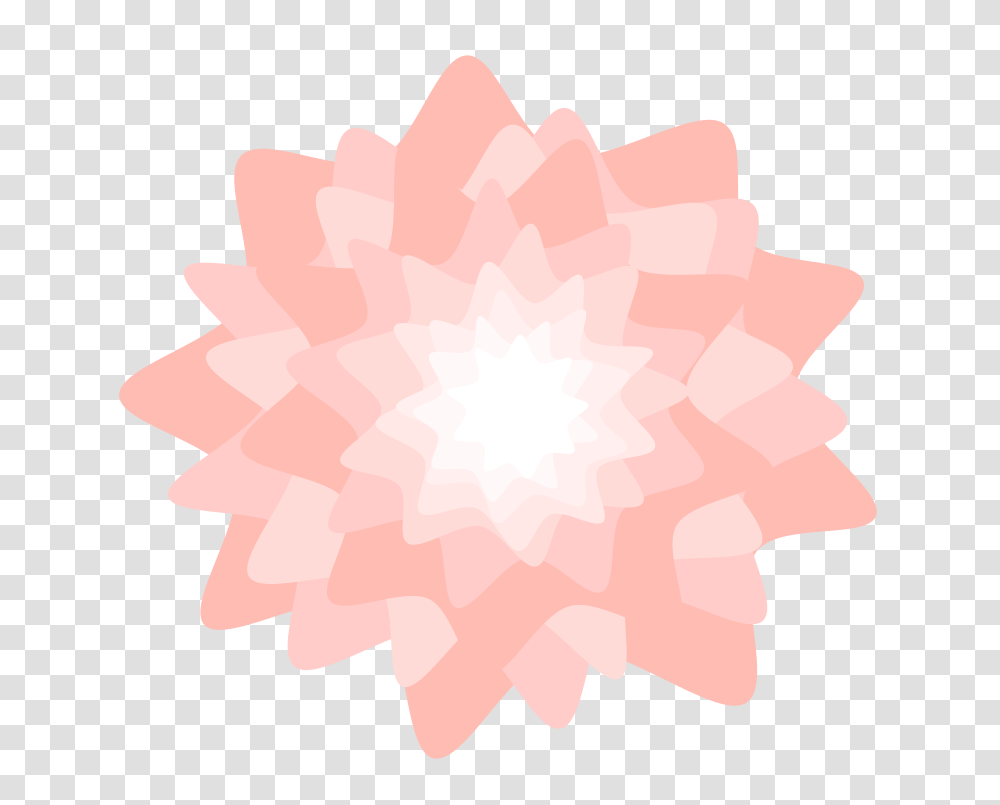 Pink Puff Flower, Nature, Rose, Plant, Blossom Transparent Png