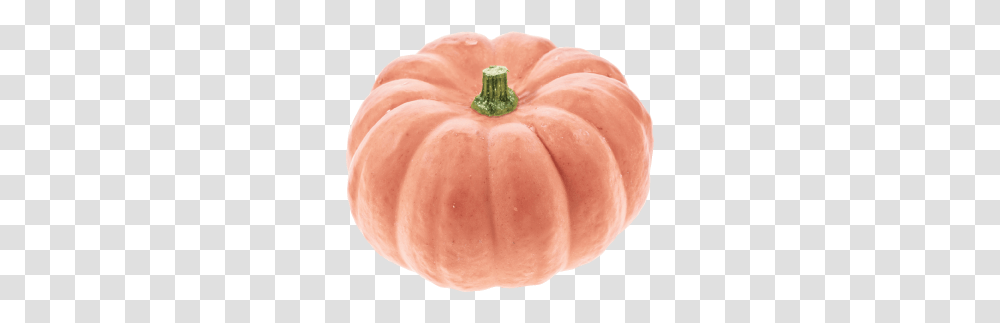 Pink Pumpkins Clipart Pumpkin, Plant, Vegetable, Food, Squash Transparent Png