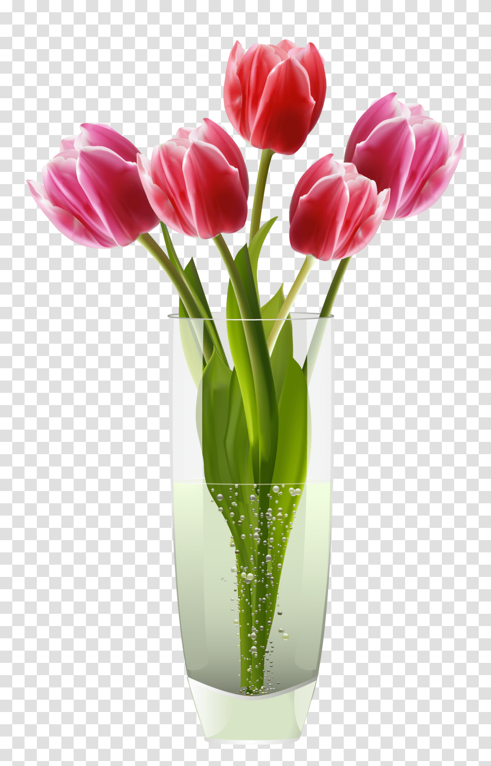 Pink Red Tulips Vase, Plant, Flower, Blossom, Flower Arrangement Transparent Png