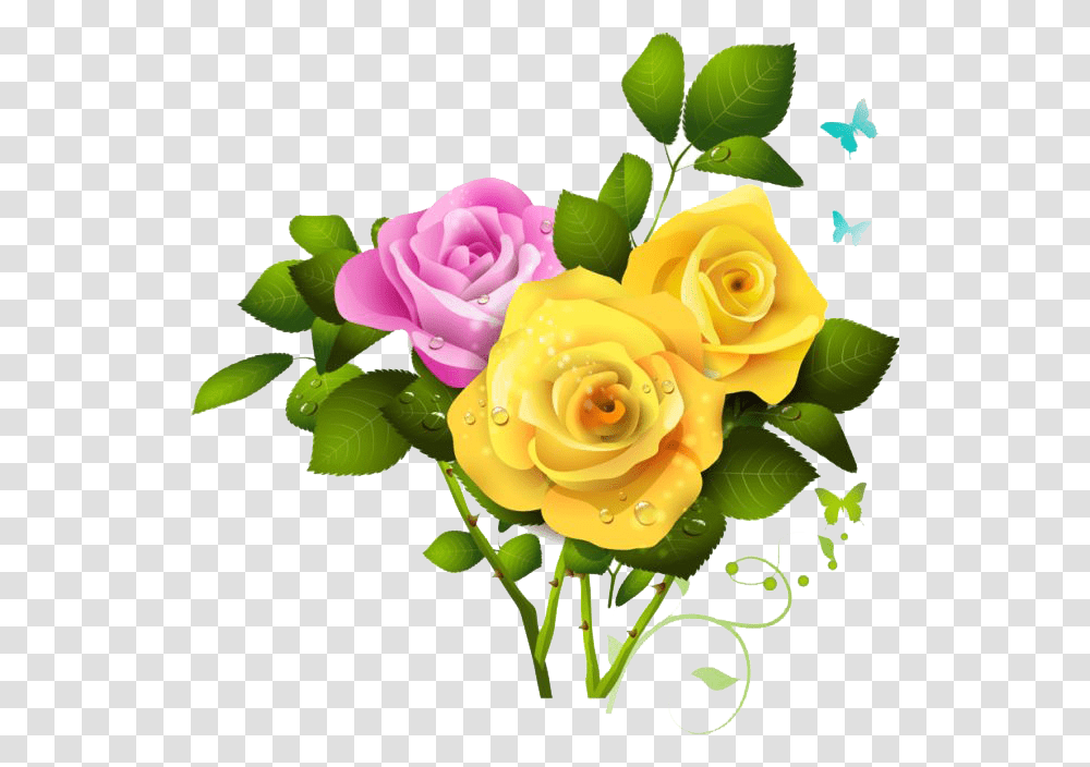Pink Rose And Yellow Rose, Flower, Plant, Blossom Transparent Png
