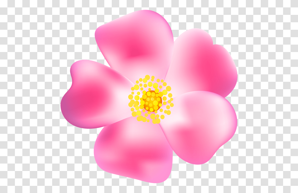 Pink Rose Blossom Clip Art Gallery, Petal, Flower, Plant, Pollen Transparent Png