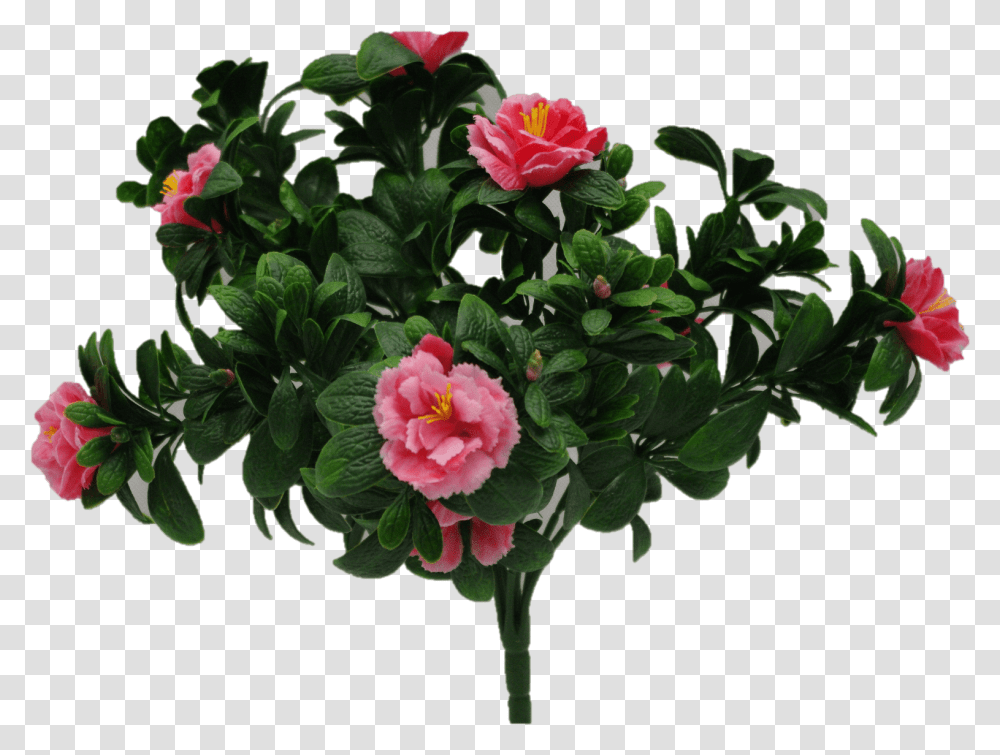 Pink Rose Bunch Uv 45cm 2 Garden Roses, Plant, Flower, Blossom, Geranium Transparent Png