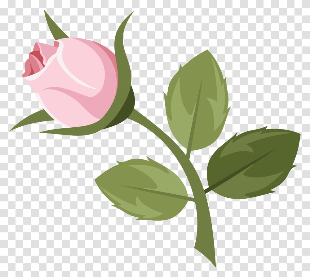 Pink Rose Cartoon Flower, Plant, Blossom, Leaf, Petal Transparent Png