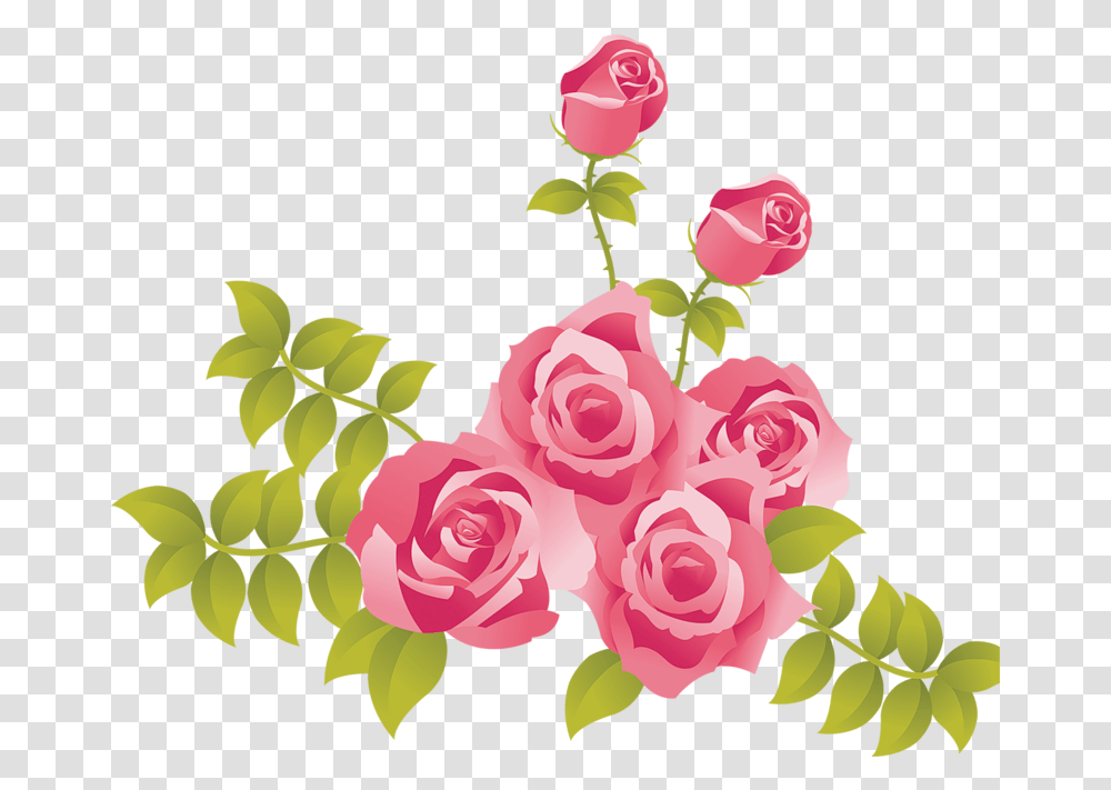 Pink Rose Clip Art Clipartlook Pink Roses Clip Art, Flower, Plant, Blossom, Graphics Transparent Png