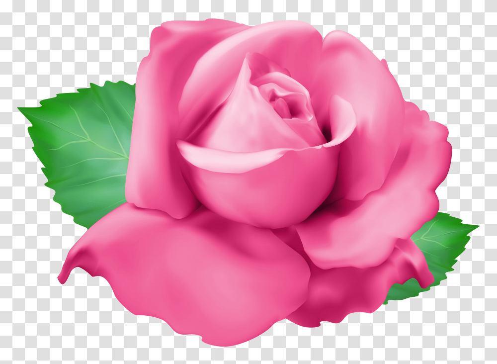 Pink Rose Clip Art Transparent Png