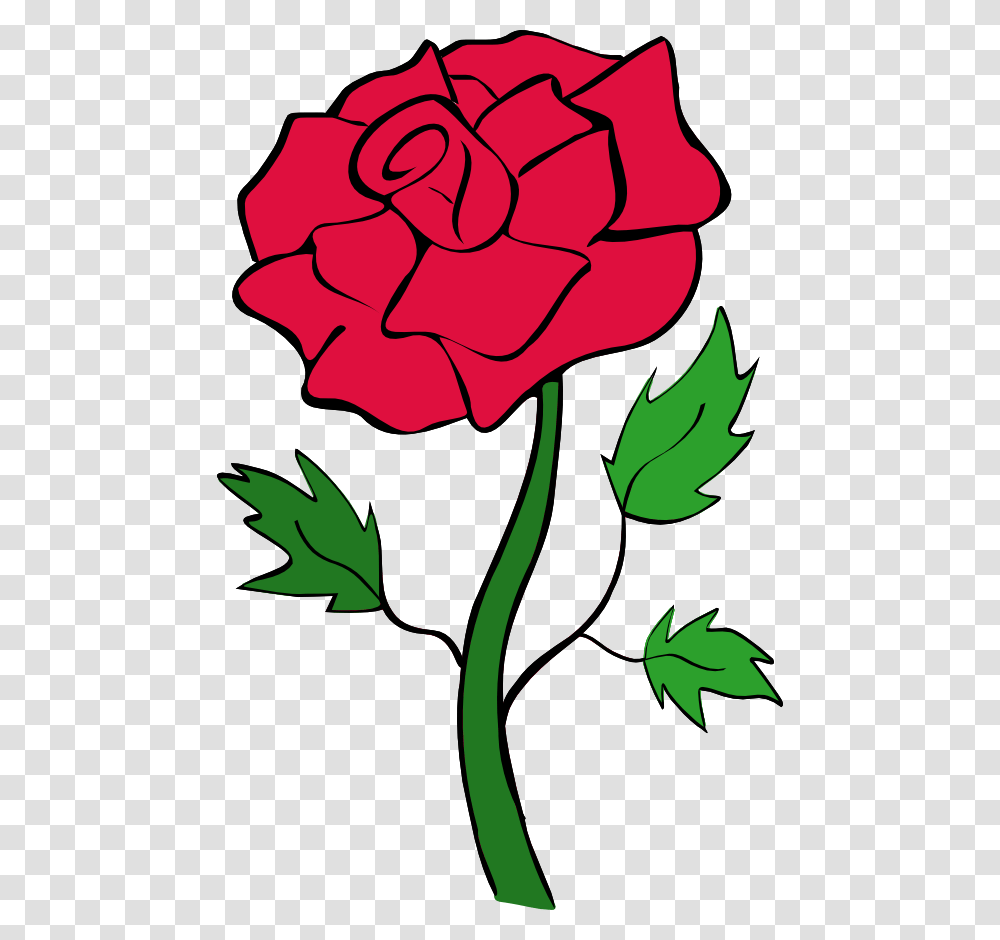 Pink Rose Clipart Black White, Plant, Flower, Blossom, Carnation Transparent Png