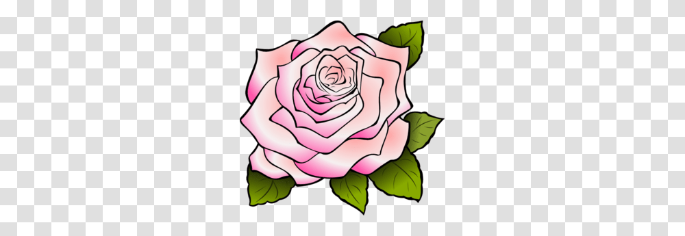 Pink Rose Clipart Border, Flower, Plant, Blossom, Petal Transparent Png