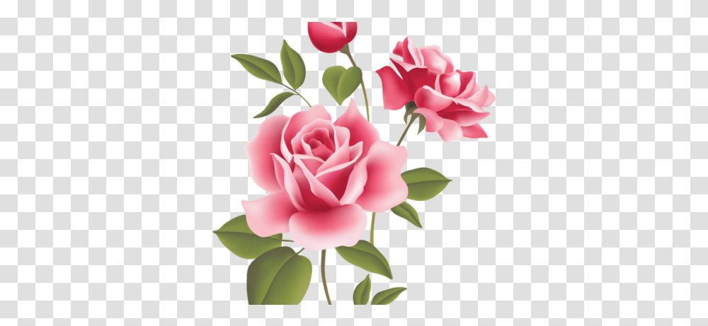 Pink Rose Clipart Bunga Mawar Pink Floral Pattern Stickers Rose, Flower, Plant, Blossom, Petal Transparent Png