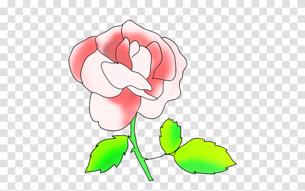 Pink Rose Clipart, Hand, Plant, Fist Transparent Png