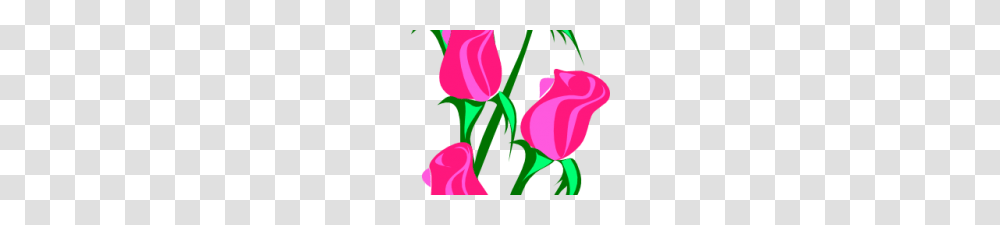 Pink Rose Clipart Large Pink Rose Clipart Dream Disney Wedding, Flower, Plant, Blossom, Petal Transparent Png
