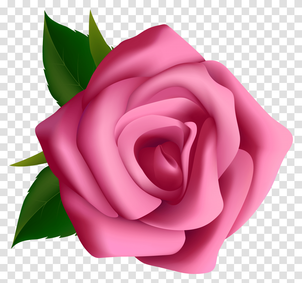 Pink Rose Clipart Pink Rose Clipart Transparent Png