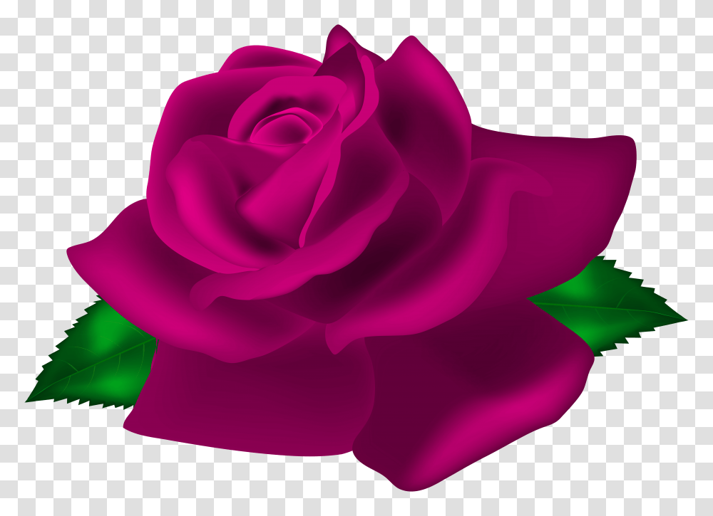 Pink Rose Deco Clip Art, Flower, Plant, Blossom, Petal Transparent Png