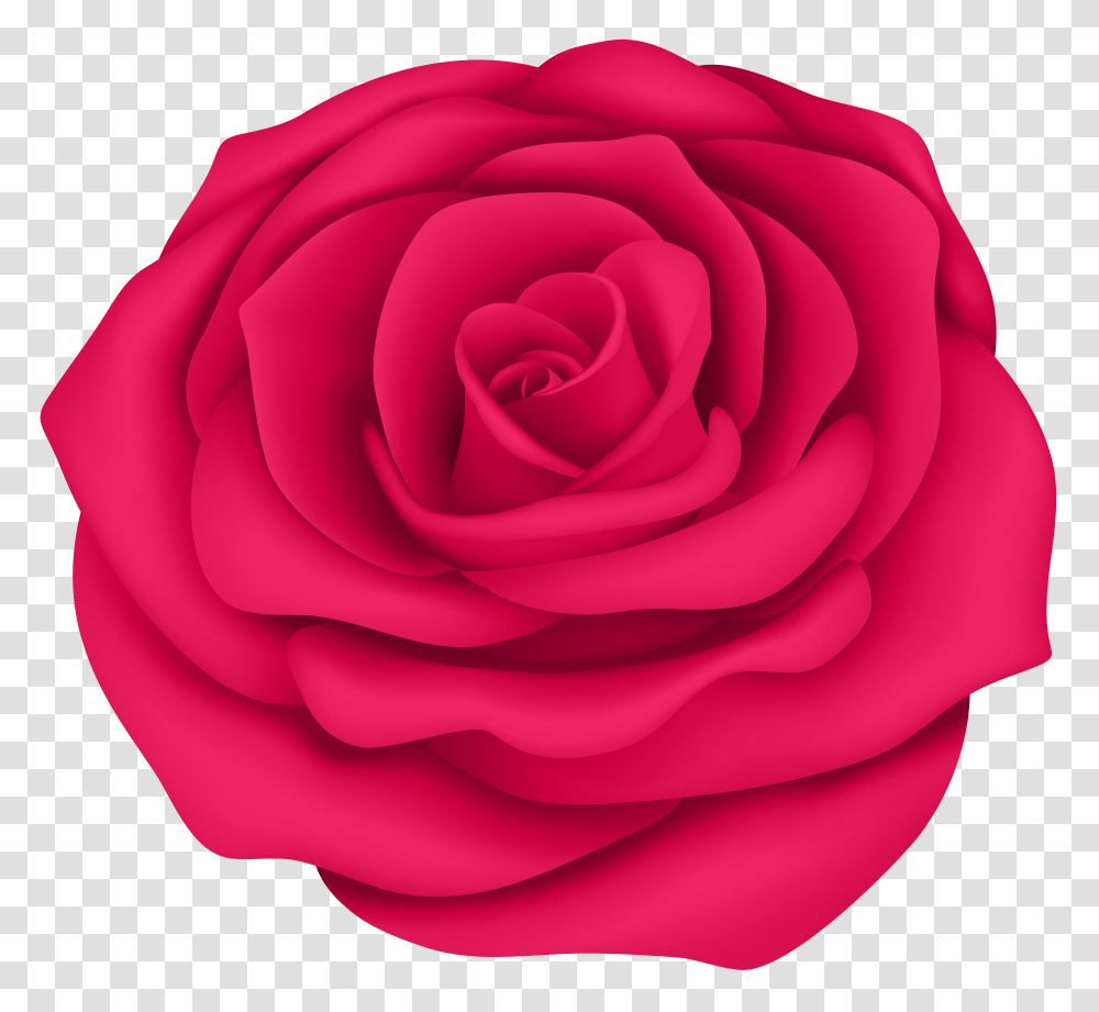 Pink Rose Flower Clip Art Gallery Transparent Png